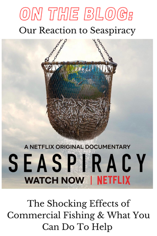 HOW WE FEEL AFTER WATCHING NETFLIX'S SEASPIRACY HOW WE FEEL AFTER WATCHING NETFLIX'S SEASPIRACY