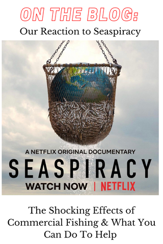 HOW WE FEEL AFTER WATCHING NETFLIX'S SEASPIRACY