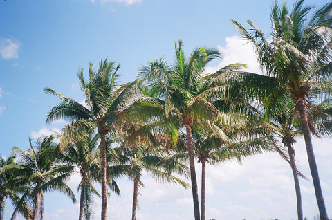 Travel: Miami in 35mm