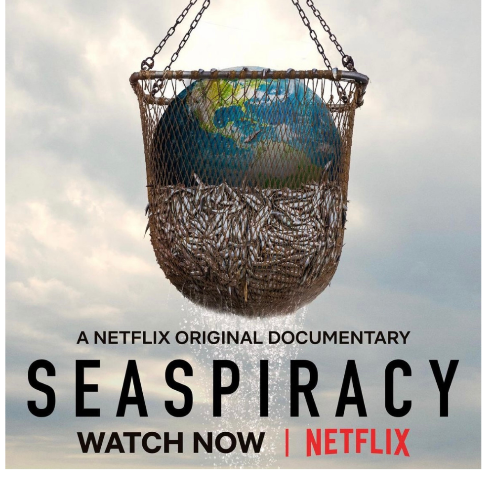 HOW WE FEEL AFTER WATCHING NETFLIX'S SEASPIRACY