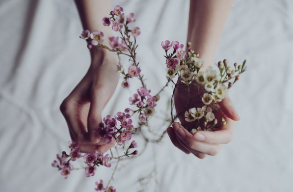C+D's Guide to Herbal Healing and Cleansing