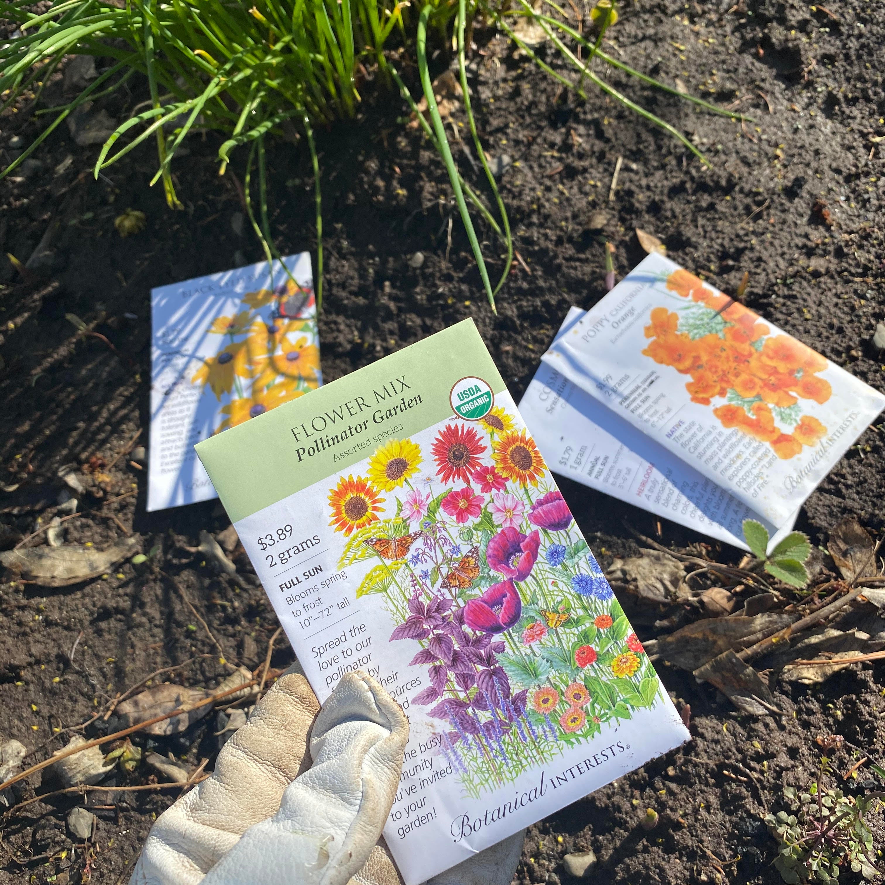 HAPPY EARTH DAY:  STARTING A GARDEN DURING COVID-19