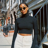 AUDREY CROPPED TURTLENECK
