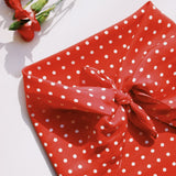 CLOAK & DAGGER SILK SCARF, ROUGE