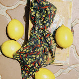 C&D CITRON RECTANGLE SILK SCARF