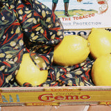 C&D CITRON RECTANGLE SILK SCARF